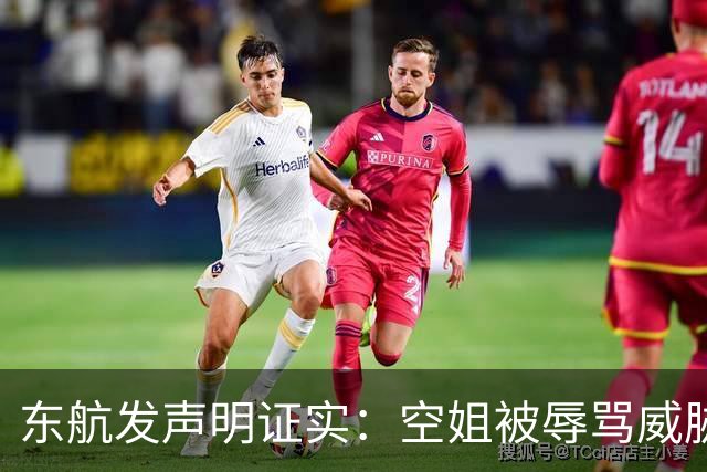 东航发声明证实：空姐被辱骂威胁脚踢，闹事旅客落地自行离开