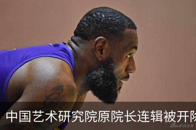 中国艺术研究院原院长连辑被开除党籍