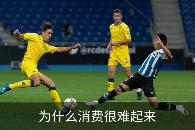 为什么消费很难起来