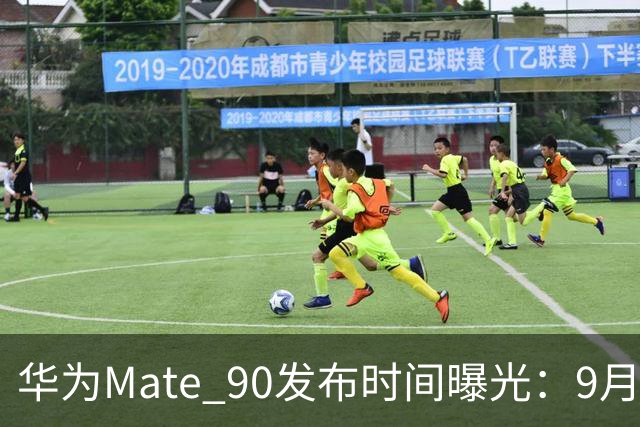 华为Mate 90发布时间曝光：9月29日登场，Pro Max这将是重头戏