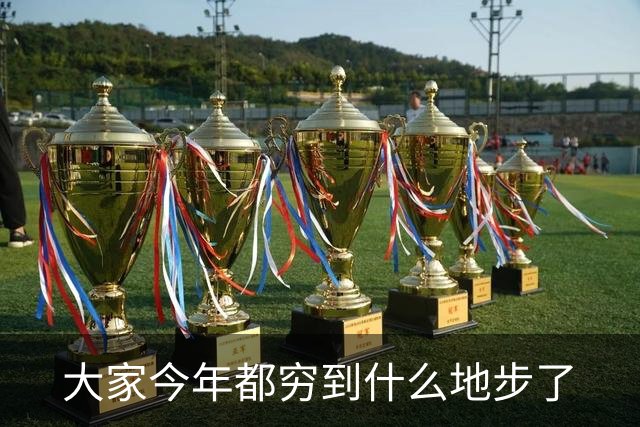 大家今年都穷到什么地步了