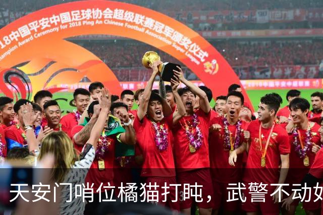 天安门哨位橘猫打盹，武警不动如山暖哭全网