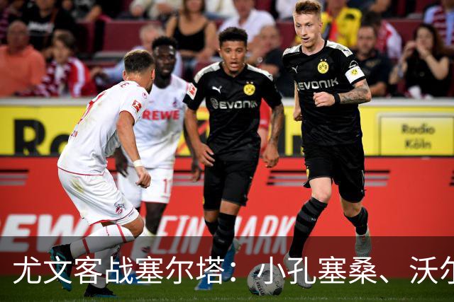 尤文客战塞尔塔：小孔塞桑、沃尔特马德首发，麦肯尼出战