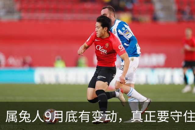 属兔人9月底有变动，真正要守住的是这三件事