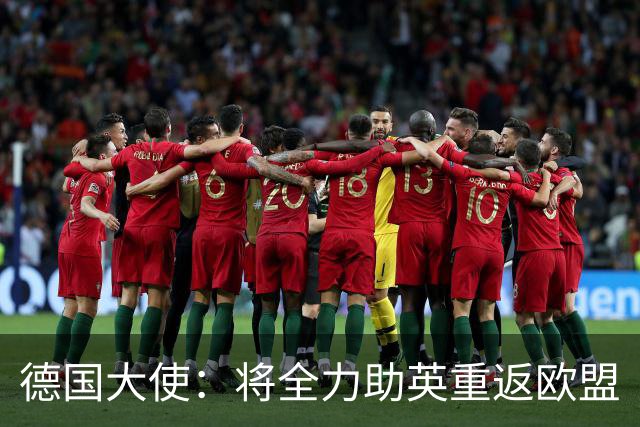 德国大使：将全力助英重返欧盟