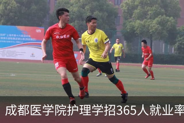 成都医学院护理学招365人就业率96%，2026扩100人却缩省外，核心专业在换血吗