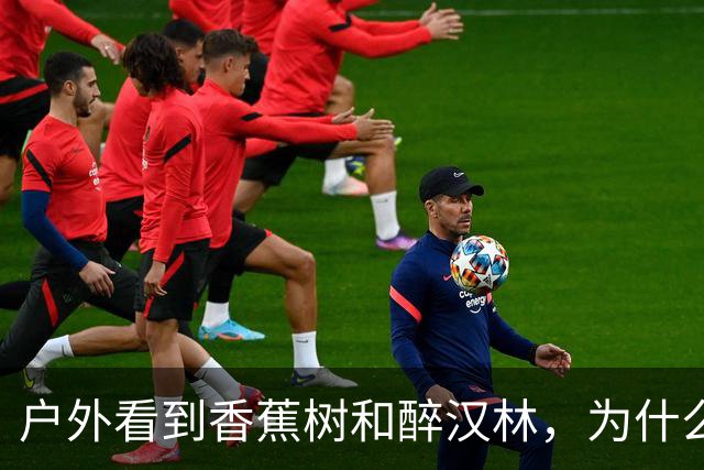 户外看到"香蕉树"和"醉汉林"，为什么必须马上离开？