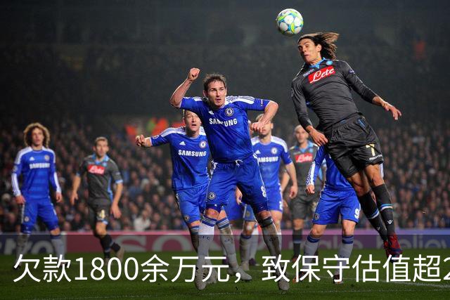 欠款1800余万元，致保守估值超2.5亿元的295套房产被查封3年