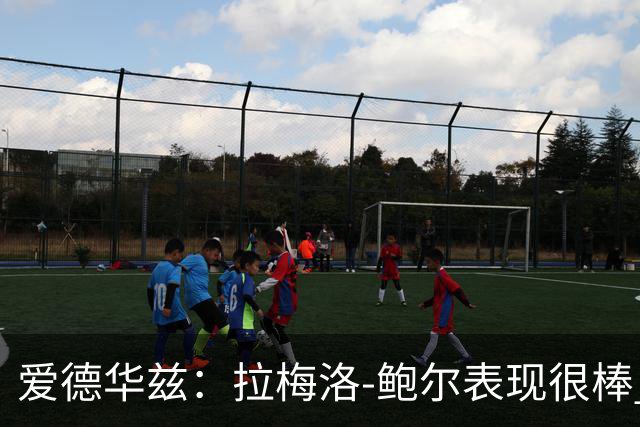 爱德华兹：拉梅洛-鲍尔表现很棒 他打球充满激情