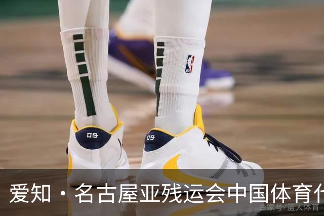 爱知·名古屋亚残运会中国体育代表团成立