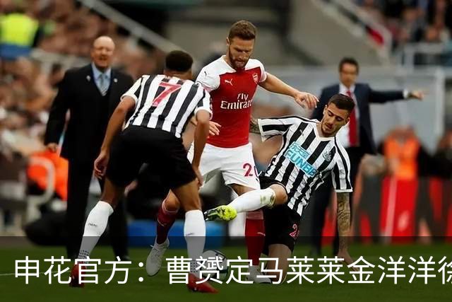 申花官方：曹赟定马莱莱金洋洋徐友刚不再续约