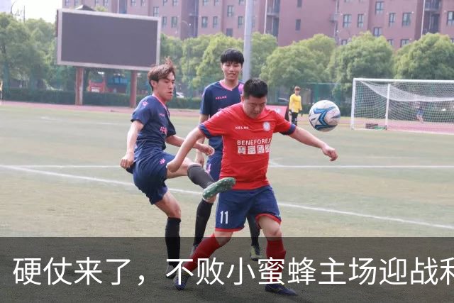 硬仗来了，不败小蜜蜂主场迎战利物浦，伊拉奥拉一直赢不了对手