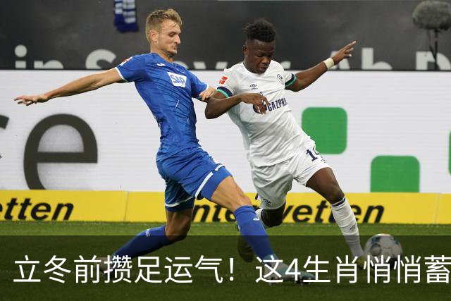 立冬前攒足运气！这4生肖悄悄蓄力，明年日子红火，有你家吗？