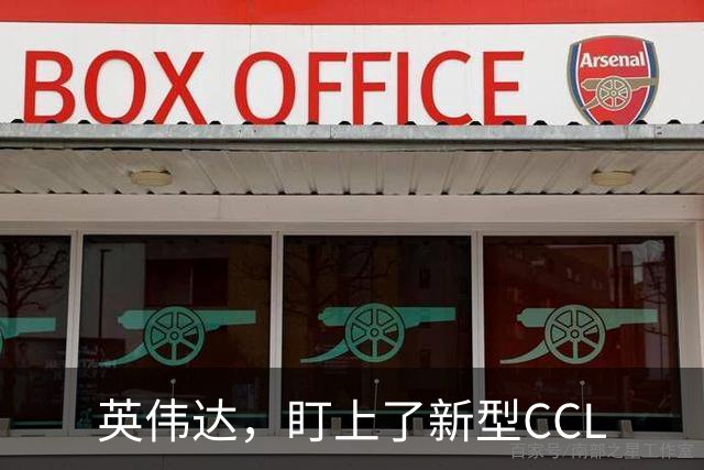 英伟达，盯上了新型CCL