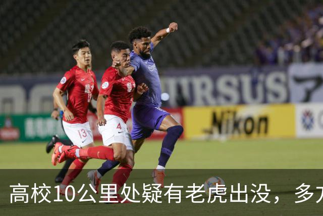 高校10公里处疑有老虎出没，多方回应
